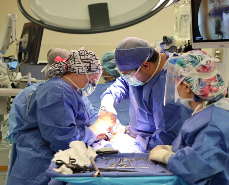 0W0A6247-copy-1024x683-1