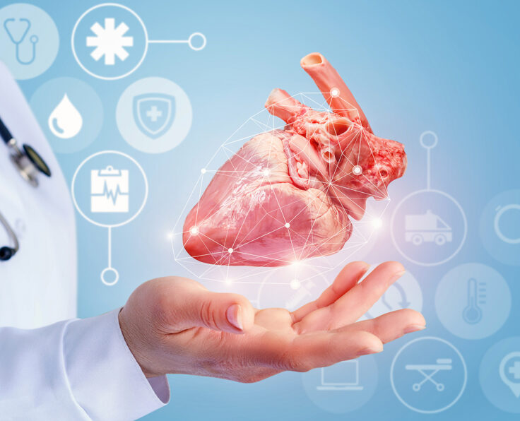 18-Importance-of-Cardiology-Videos